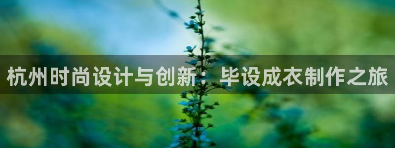 天辰娱乐app