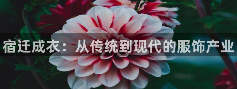 天辰娱乐_675138