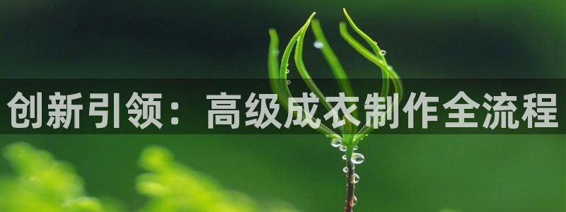 天辰娱乐总管