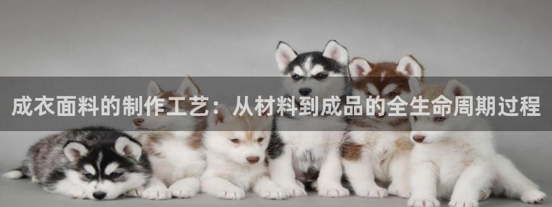 天辰娱乐 231639