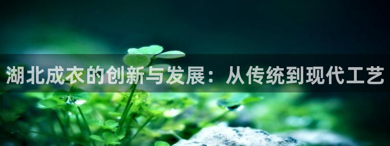 天辰娱乐维护