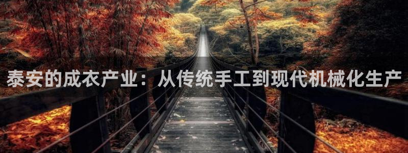 天辰娱乐白屏