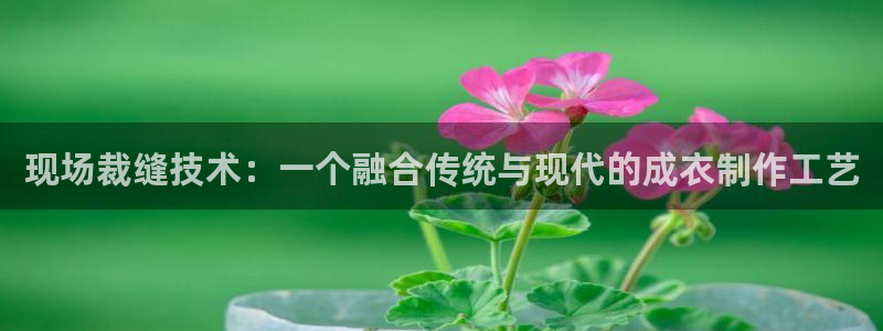 天辰娱乐的网址首页