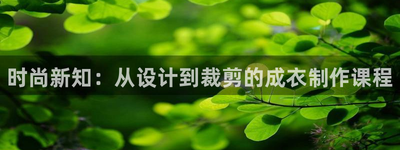 天辰娱乐总管年薪
