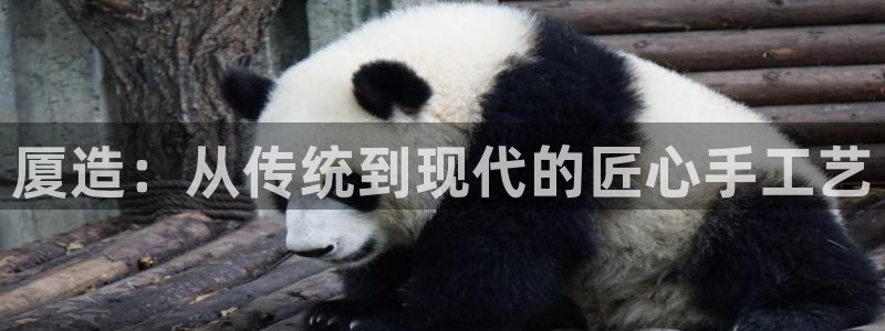 天辰娱乐 qq