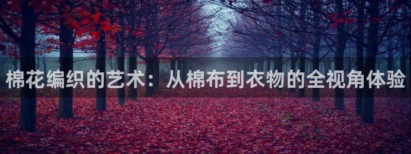 天辰娱乐主管