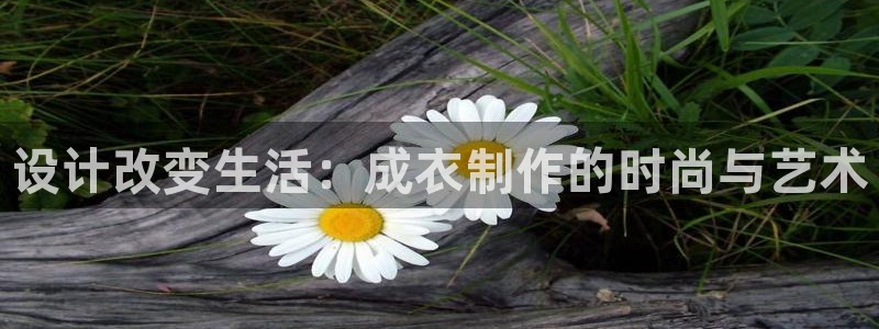 南充天辰娱乐