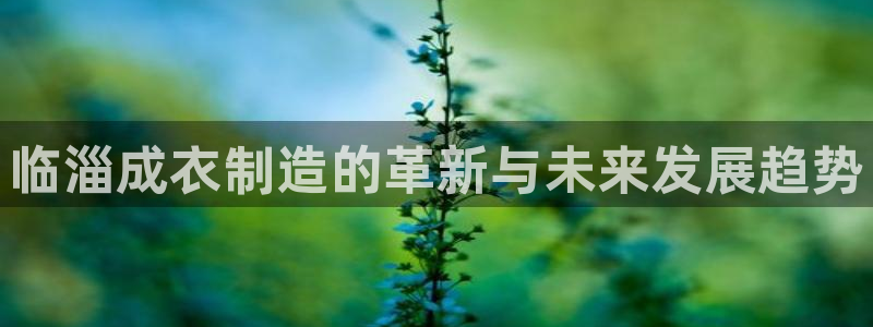 天辰娱乐481928