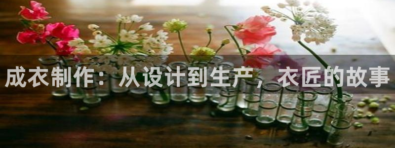 天辰娱乐视频