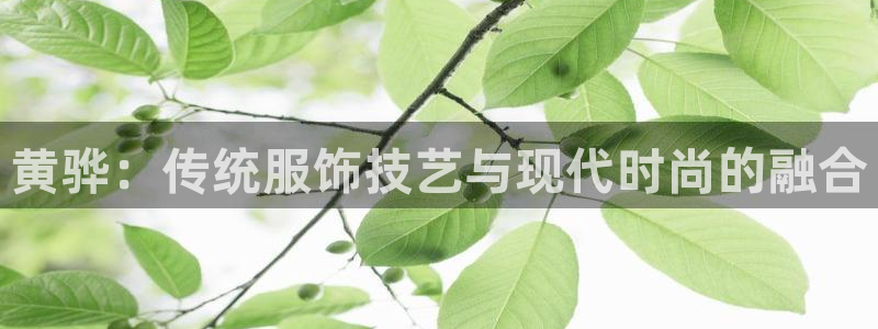 天辰娱乐APP下载