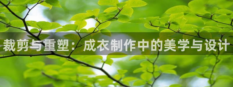 辰天娱乐用品