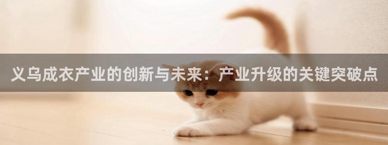 天辰娱乐简介