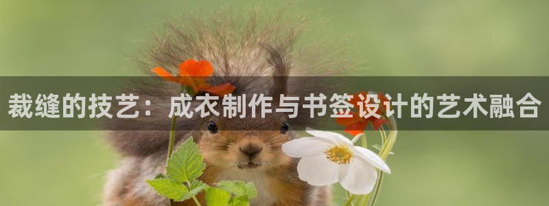 天辰娱乐51137