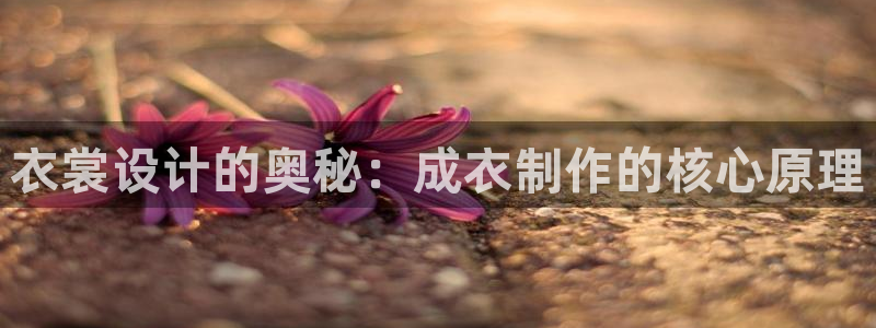 天辰娱乐股东
