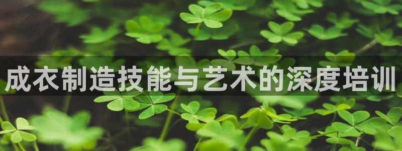 天辰娱乐文化
