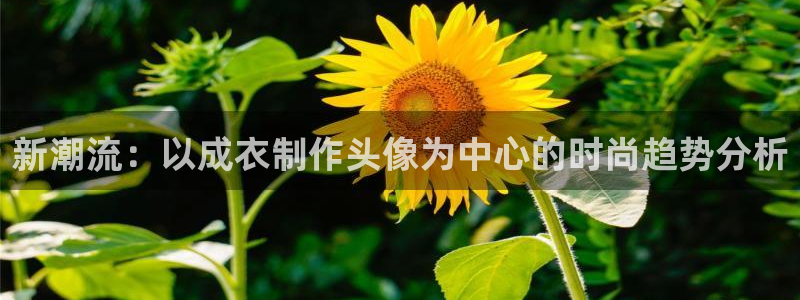 天辰娱乐赌博