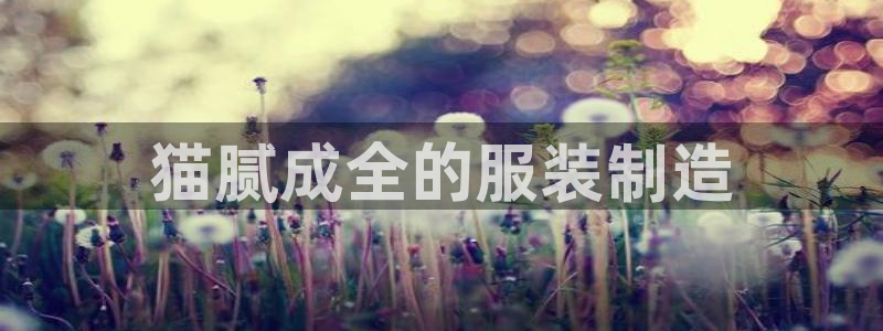 广东天辰娱乐