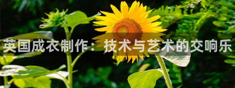 天辰娱乐官方网