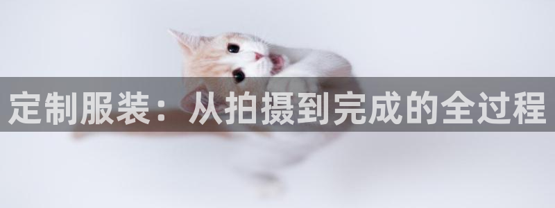 天辰娱乐入口