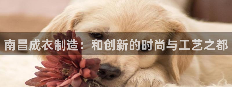 天辰娱乐平台