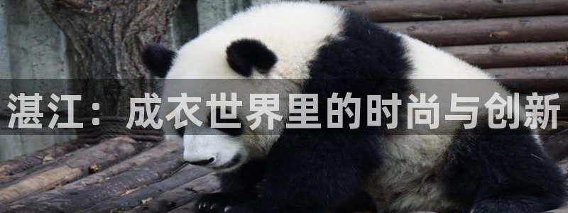 天辰臣娱乐