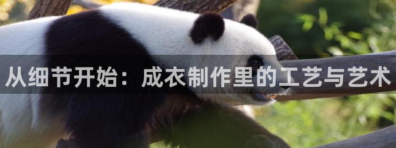 天辰娱乐557696