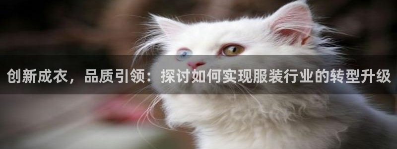 天辰娱乐_675138