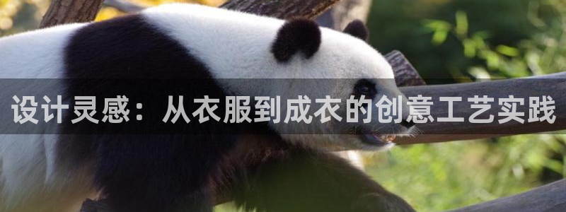 天辰娱乐测试