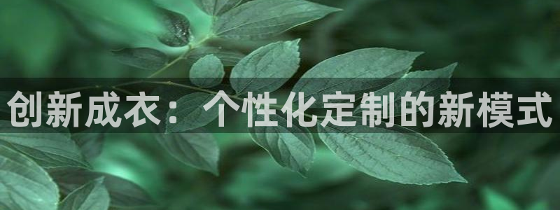 天辰娱乐官网平台入口