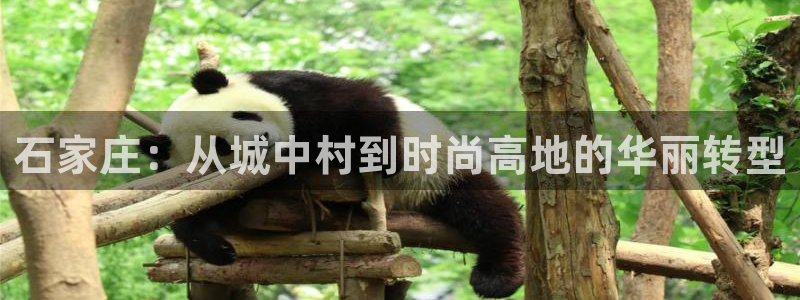天辰2娱乐