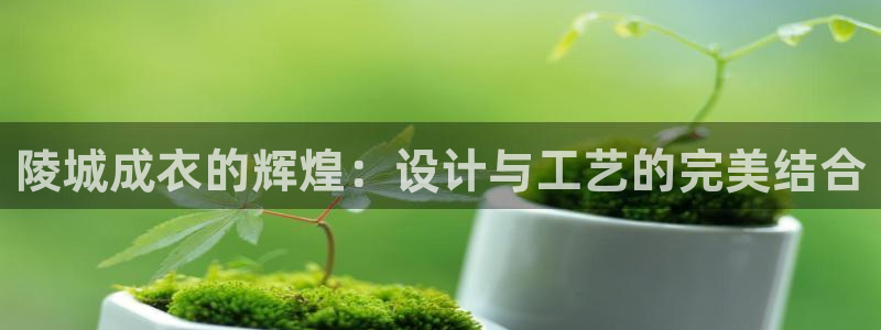 北京天辰娱乐