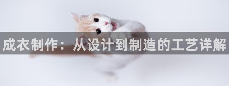 天辰宝宝娱乐