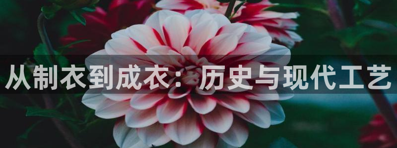 天辰线上娱乐