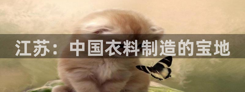 天辰娱乐小姐