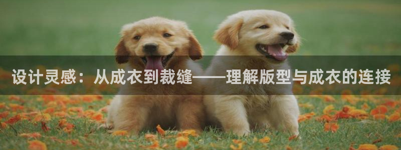 天辰娱乐 qq