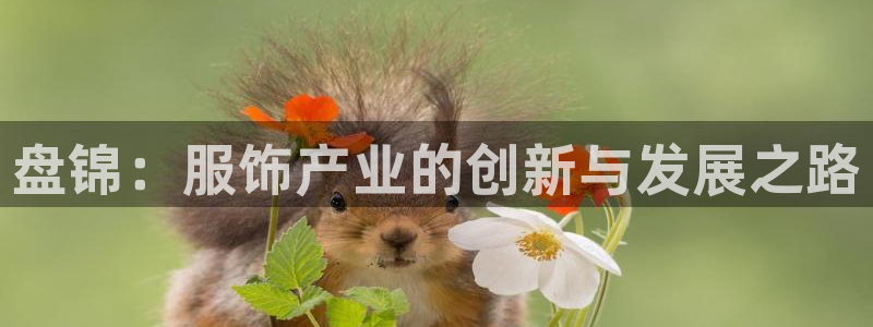 天辰娱乐官网平台入口