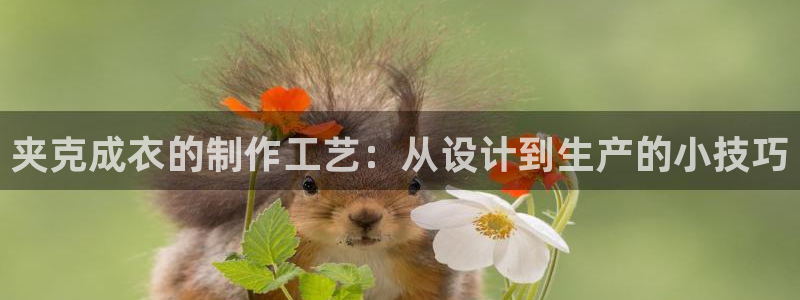 南充天辰娱乐