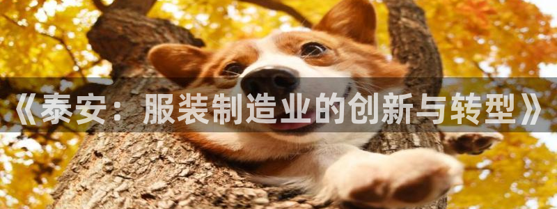 天辰娱乐-q