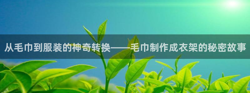 辰天娱乐用品