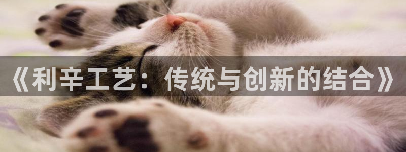 天辰娱乐股票