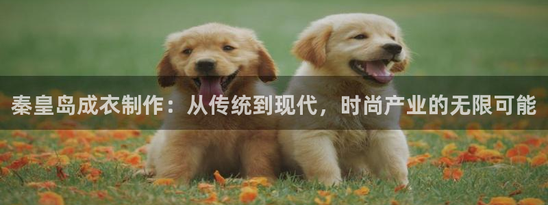 天辰娱乐网址娱乐游戏