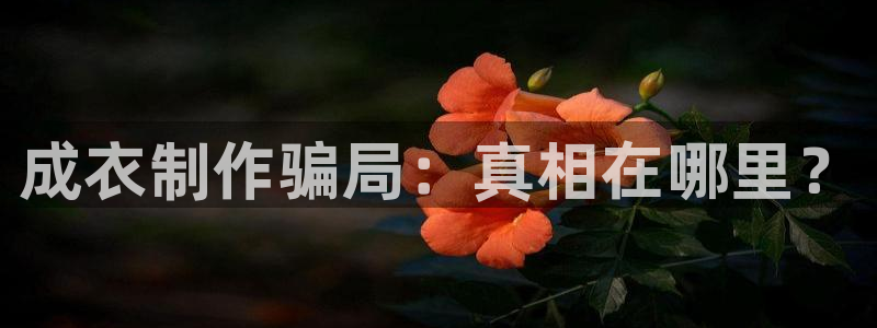 天辰娱乐卡