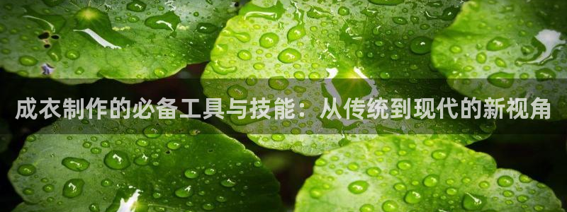 天辰娱乐总管年薪