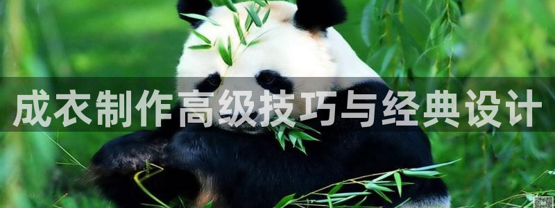 天辰娱乐在线