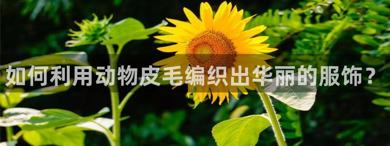 天辰娱乐44516