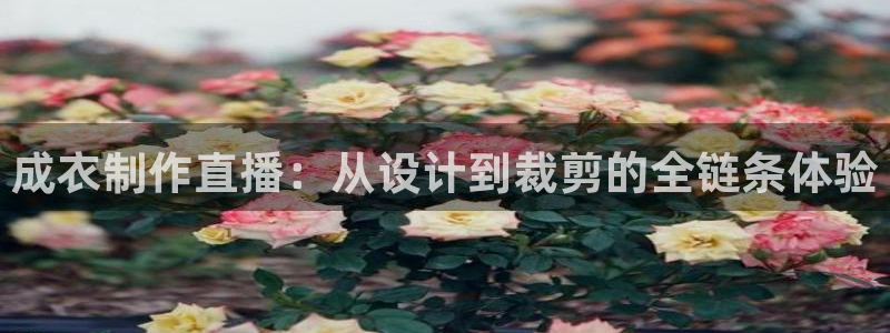 天辰娱乐服务