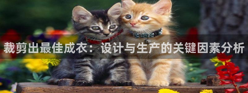 天辰娱乐咋样