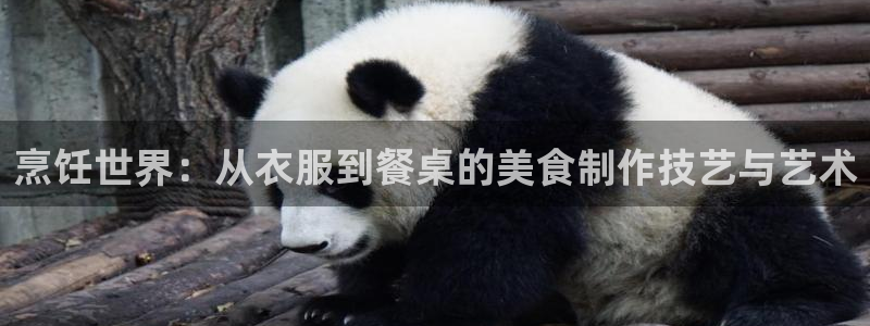 天辰娱乐集团
