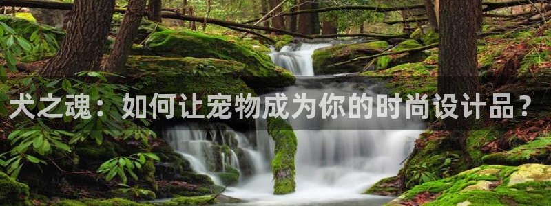 天辰娱乐1980