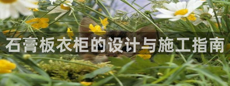 天辰娱乐2